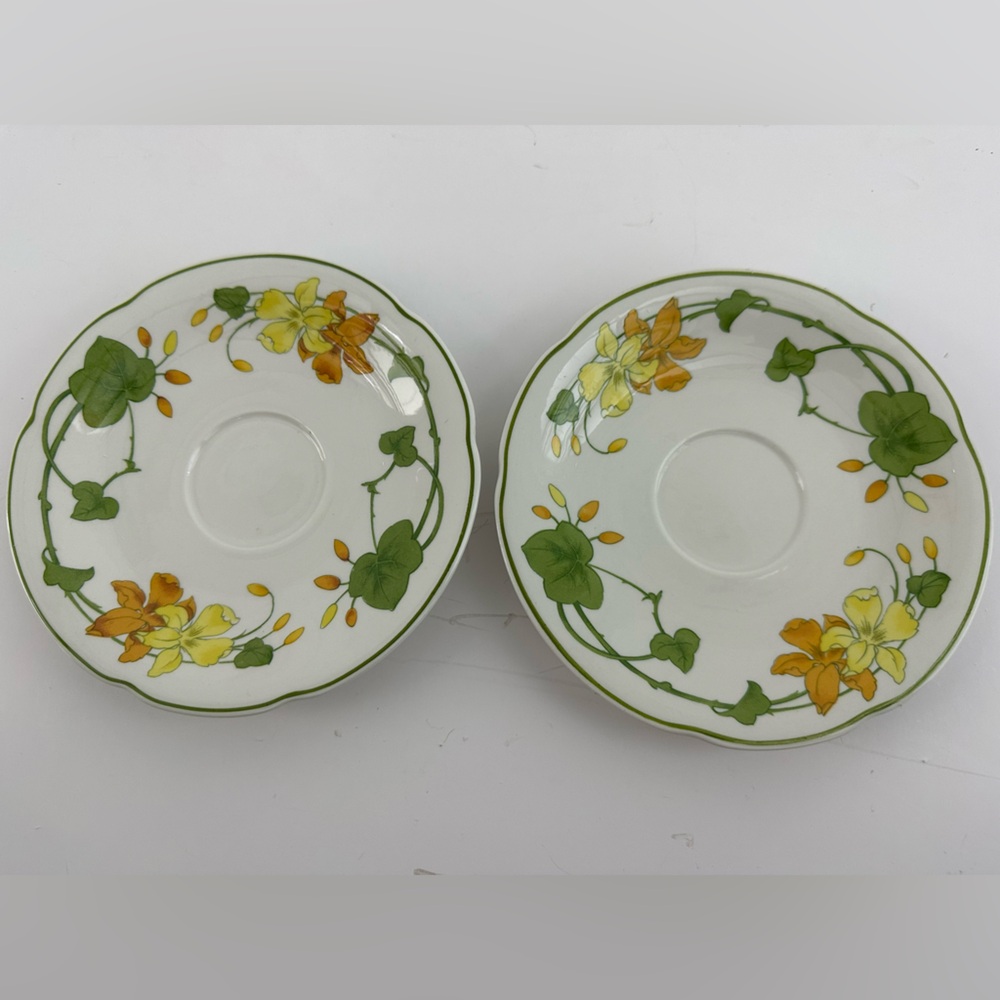 Villeroy & Boch Geranium Saucer - set of (2)